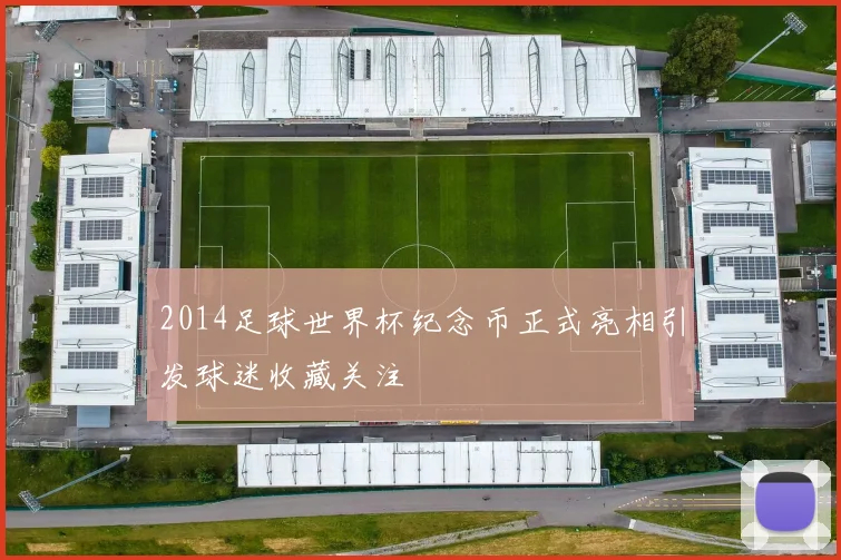 2014足球世界杯纪念币正式亮相引发球迷收藏关注